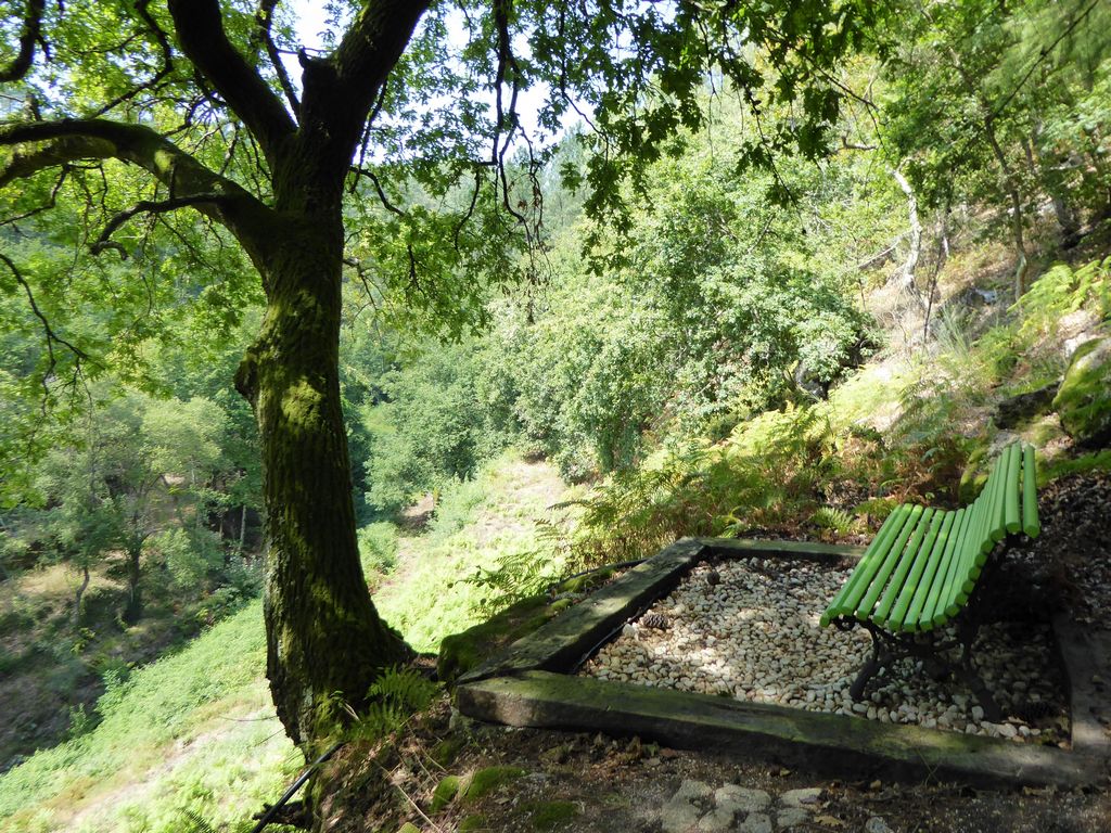 Terreno misto